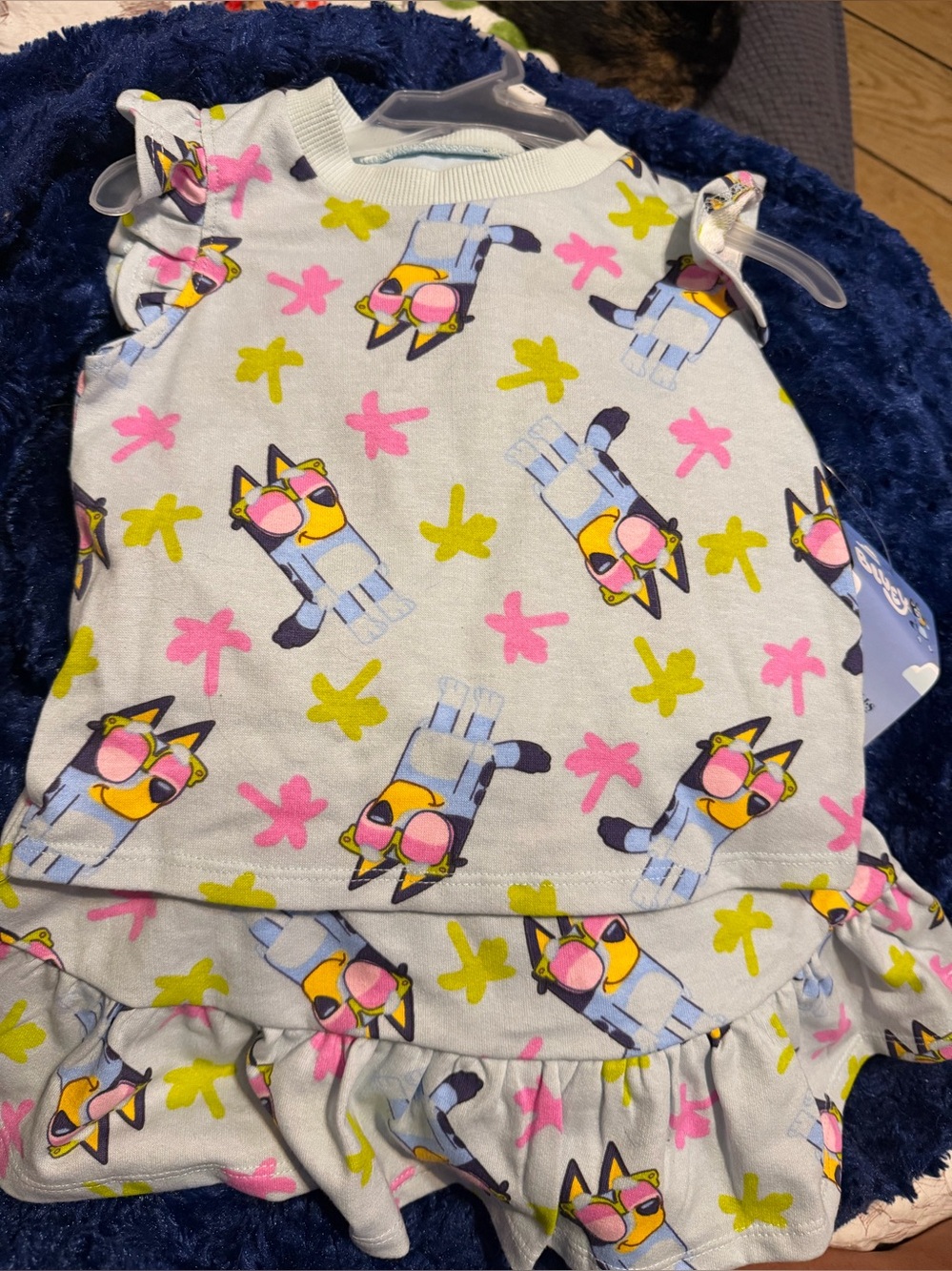 Girls 2t BLUEY skort set two piece nwt